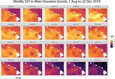 Large-scale effects of turbidity on <mark class="highlighted">coral bleaching</mark> in the Hawaiian islands